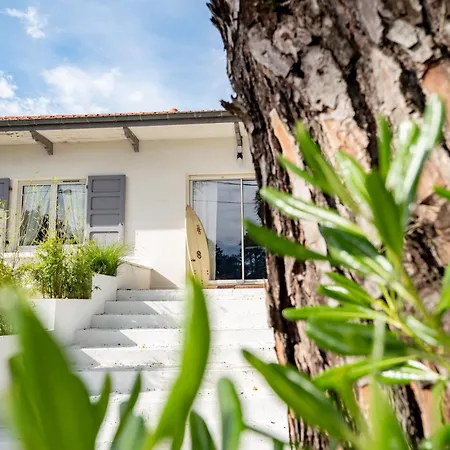 Bed & Breakfast Surf House