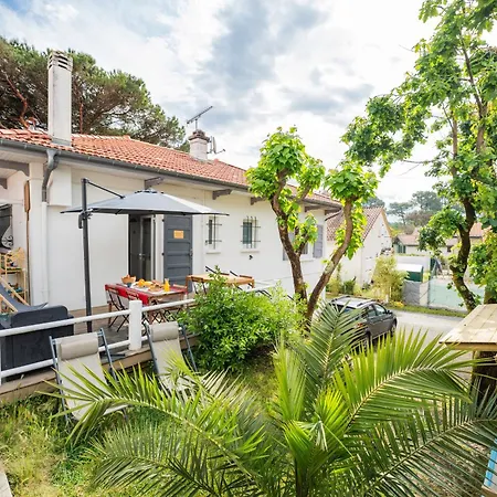 Surf House Bed & Breakfast *